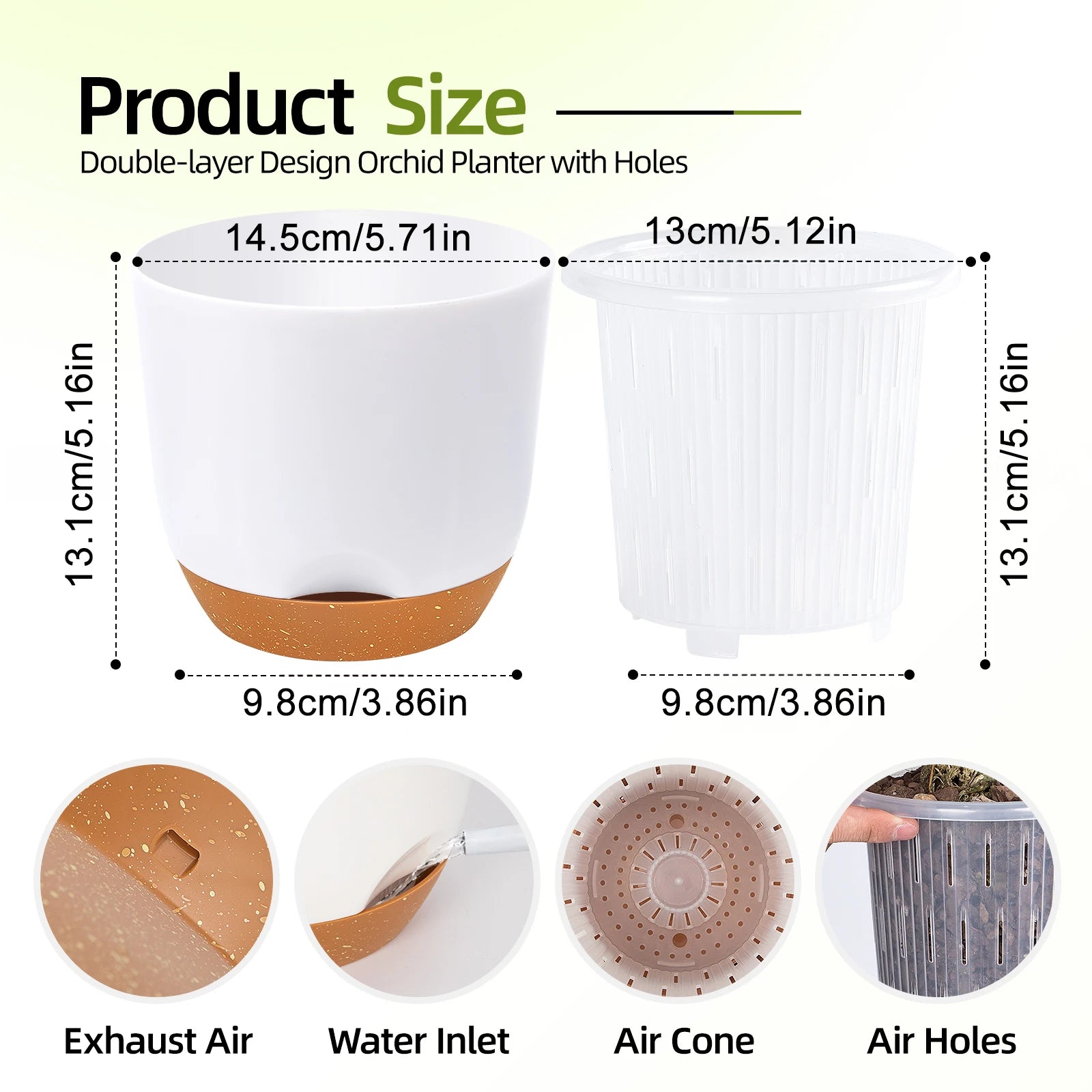 Comparaison taille pots orchidées grand et moyen