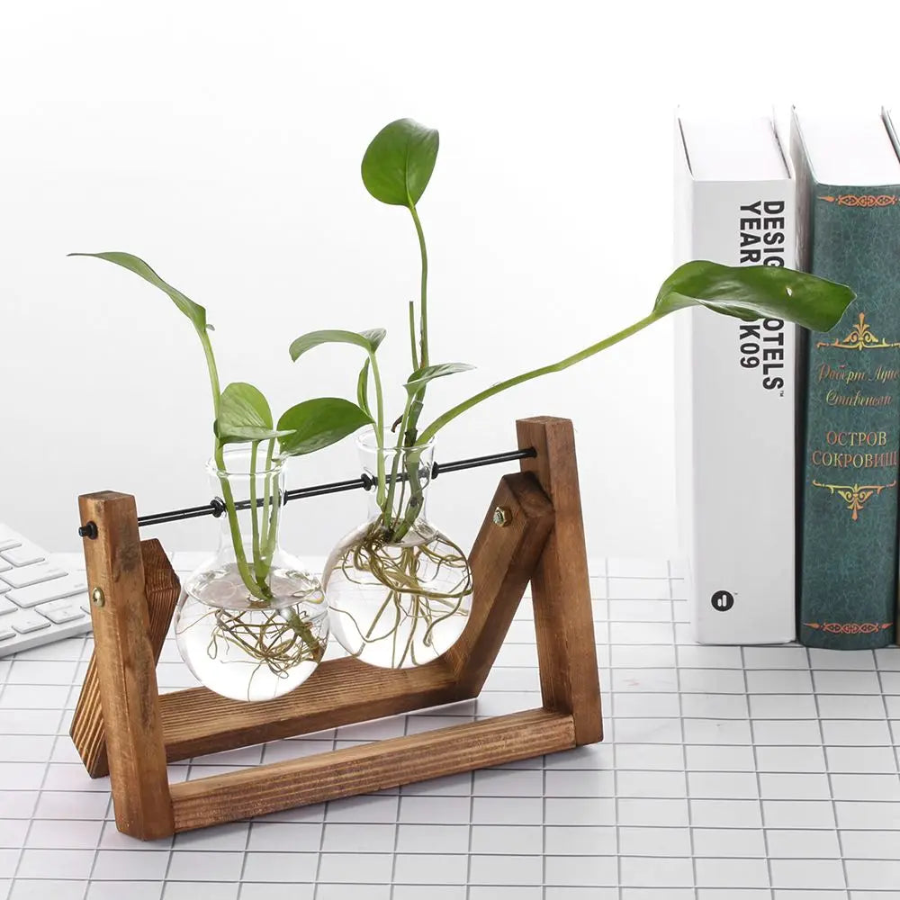 Vase hydroponique vintage en verre avec support bois jaune