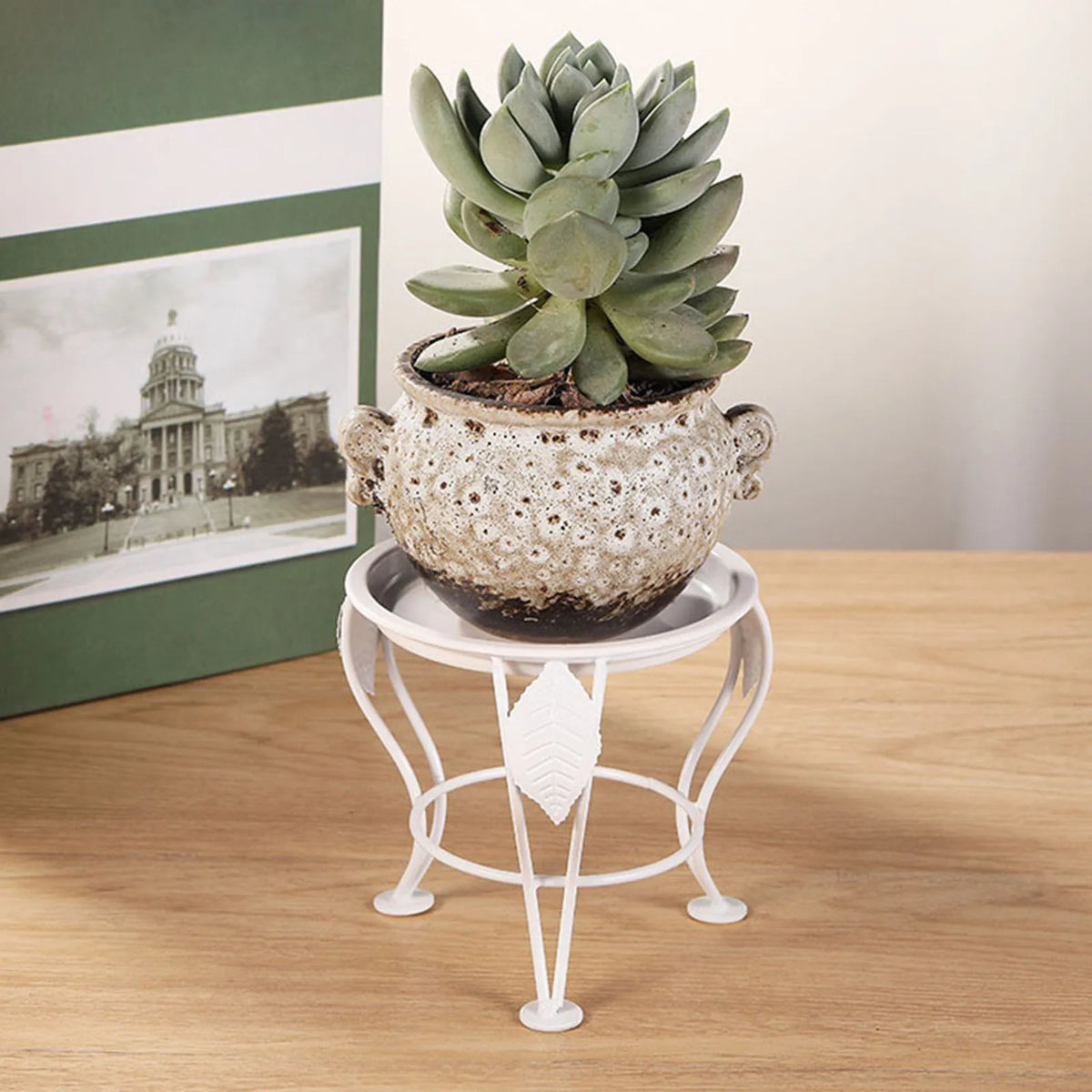 Support de plante noir moderne pour intérieur
