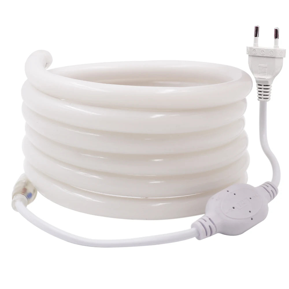 Bande lumineuse LED néon multicolore en action