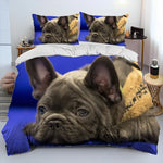 Détail du tissu tricoté de la housse de couette pour chien Pitbull