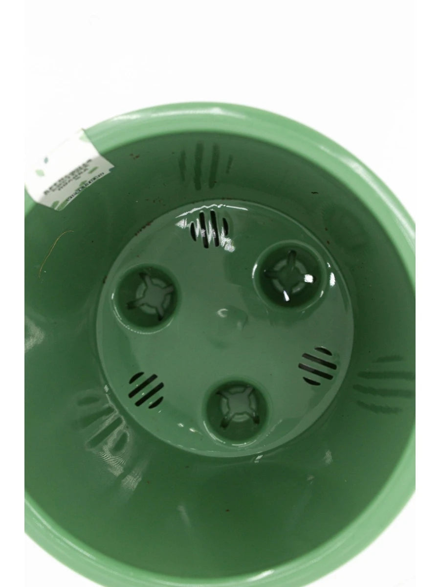 Cache-pot transparent avec plantes vivantes pour intérieur lumineux