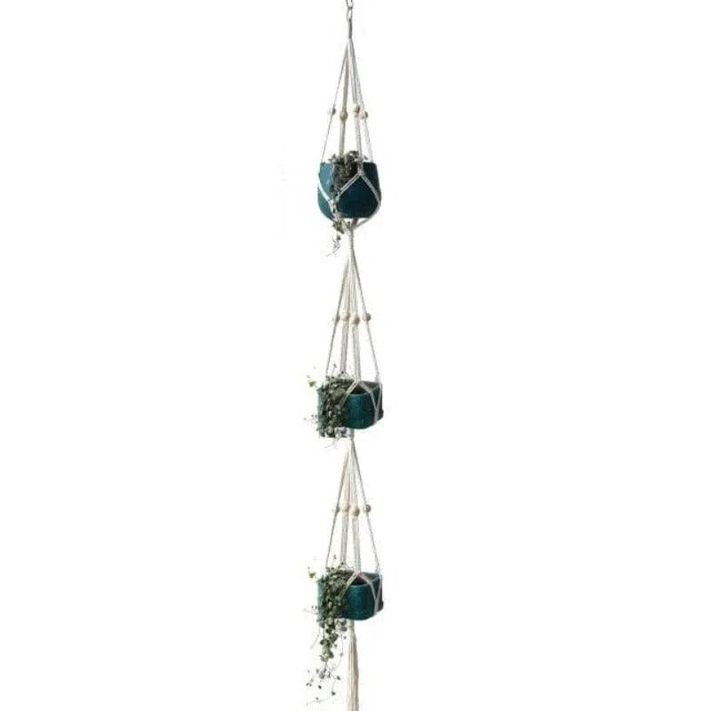 Support de plantes suspendu à trois niveaux avec pots décoratifs, idéal pour embellir votre intérieur. Ce modèle élégant est parfait pour les amoureux des plantes souhaitant économiser de l'espace tout en ajoutant une touche de verdure à leur maison. Facile à installer, il s'intègre parfaitement dans le salon, la cuisine ou la véranda pour un effet déco tendance.