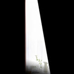 Rideau occultant noir pour chambre, parfait pour bloquer la lumière et assurer une ambiance intime. Idéal pour les salons modernes et les espaces reposants. Disponible en plusieurs tailles pour s'adapter à toutes les fenêtres. Accessoire essentiel pour un meilleur confort thermique et visuel.